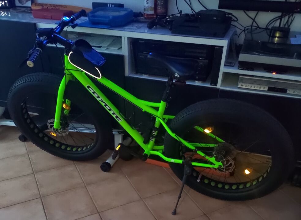 Fat Bike