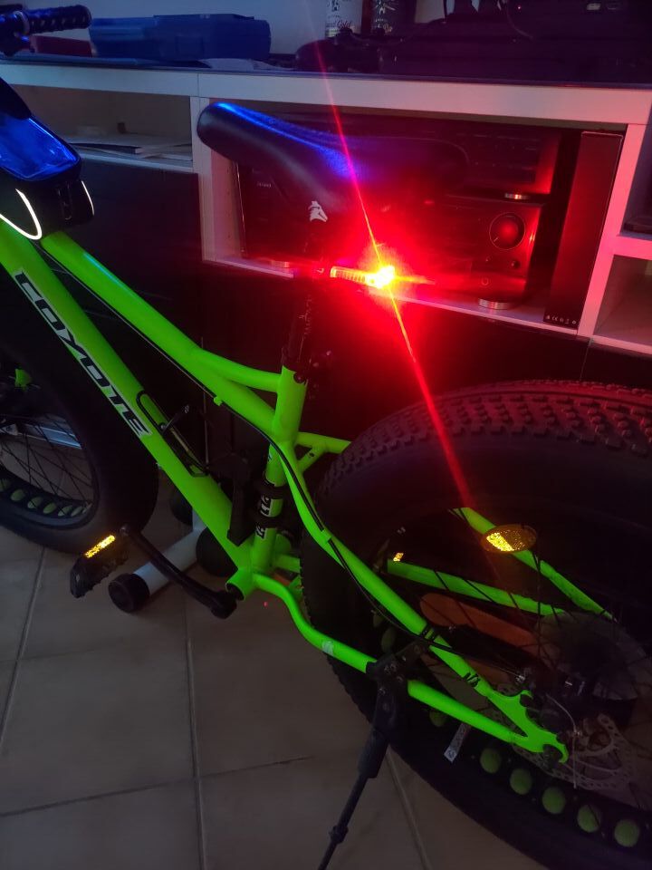 Fat bike