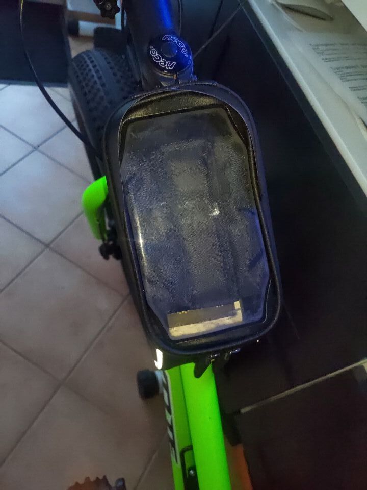 Fat bike