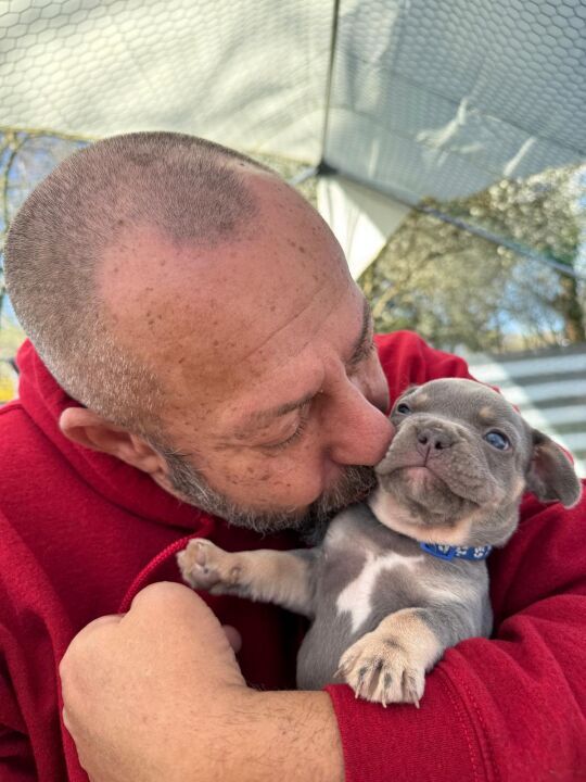 Toto und vally