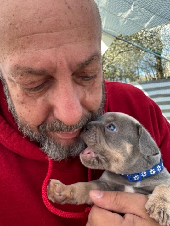 Toto und vally
