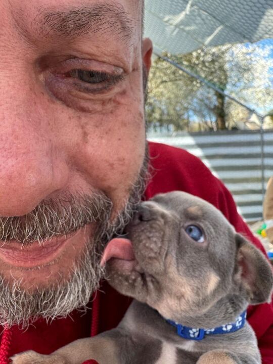 Toto und vally